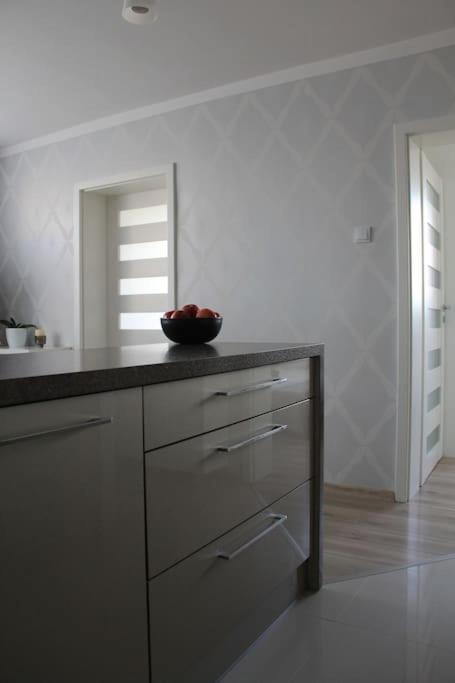 克拉科夫Uroczy, Jasny Apartament Oraz Bezplatny Parking!公寓 外观 照片