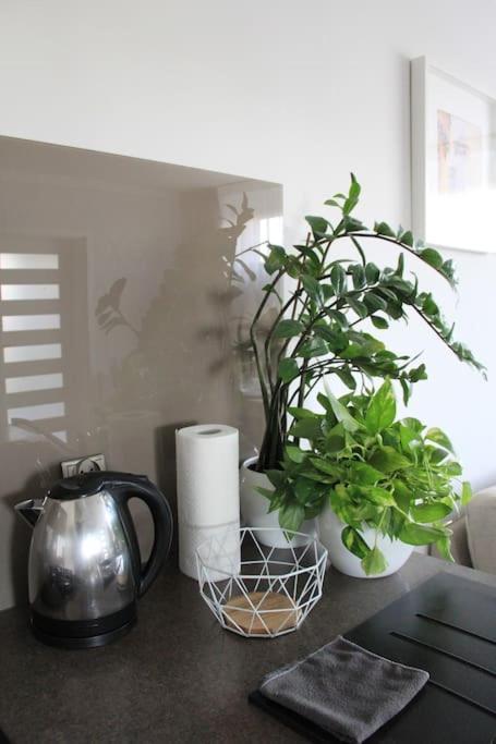 克拉科夫Uroczy, Jasny Apartament Oraz Bezplatny Parking!公寓 外观 照片