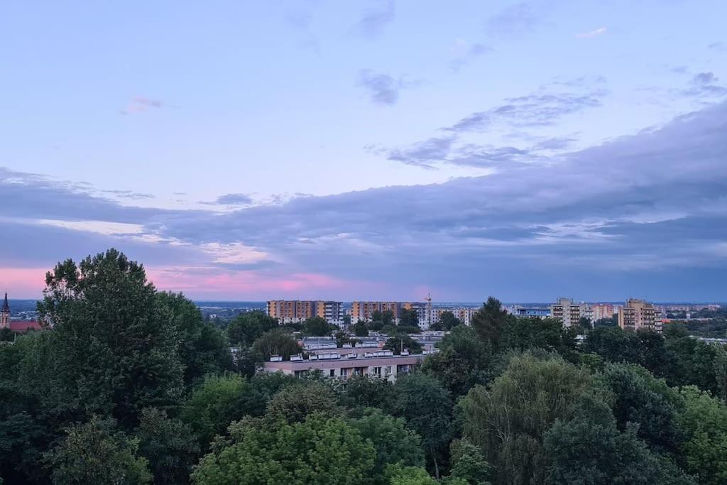 克拉科夫Uroczy, Jasny Apartament Oraz Bezplatny Parking!公寓 外观 照片