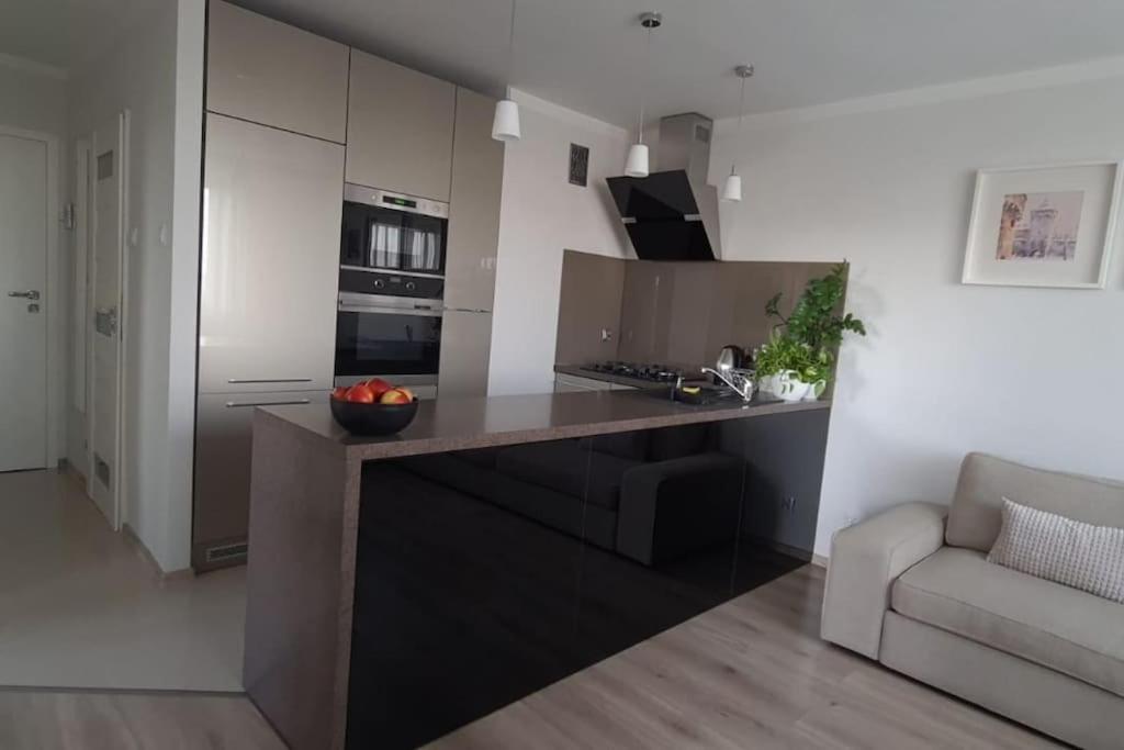 克拉科夫Uroczy, Jasny Apartament Oraz Bezplatny Parking!公寓 外观 照片